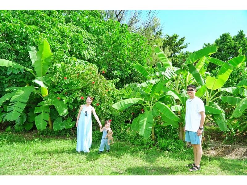 ☆当店人気№1☆定番の島旅アドベンチャーフォトツアー『観光も貸切』☆石垣ブルーの海と絶景にココロがドッキドキ！『観光も貸切』の紹介画像
