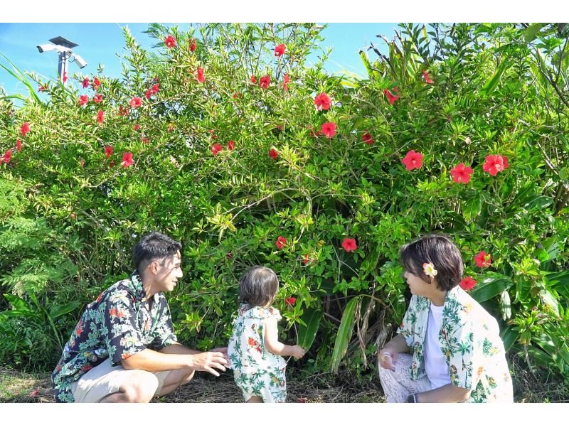 ☆当店人気№1☆定番の島旅フォトツアー☆石垣ブルーの海と絶景にココロがドッキドキ！『観光も貸切』AJ限定キャンペーン中♪の紹介画像