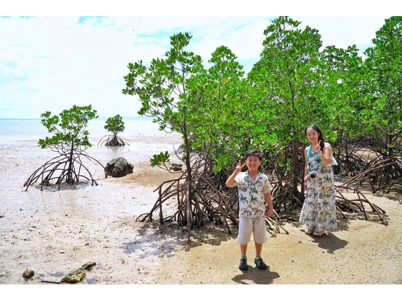 ☆当店人気№1☆定番の島旅アドベンチャーフォトツアー『観光も貸切』☆石垣ブルーの海と絶景にココロがドッキドキ！『観光も貸切』の紹介画像