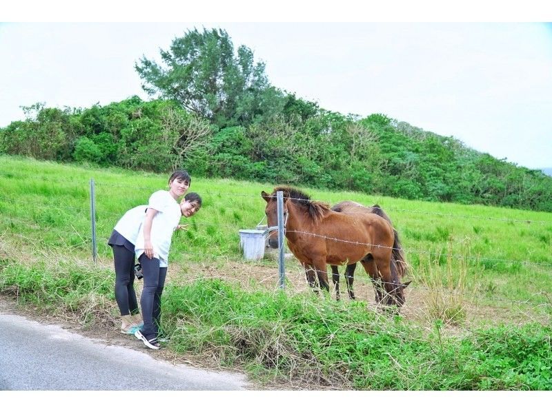 当店人気№1☆貸切で島旅！石垣ブルーの海と絶景にココロがドッキドキ！2周年割引キャンペーン中♪『観光も貸切』ロケーションフォトツアー♪！の紹介画像