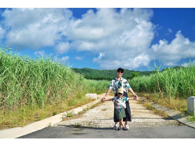 ☆当店人気№1☆定番の島旅アドベンチャーフォトツアー『観光も貸切』☆石垣ブルーの海と絶景にココロがドッキドキ！『観光も貸切』の紹介画像