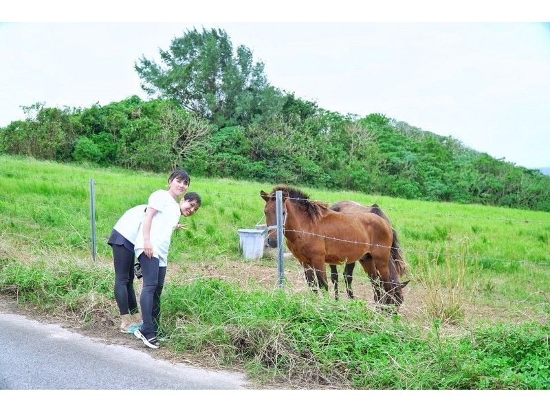 当店人気№1☆貸切で島旅！石垣ブルーの海と絶景にココロがドッキドキ！2周年割引キャンペーン中♪『観光も貸切』ロケーションフォトツアー♪！の紹介画像