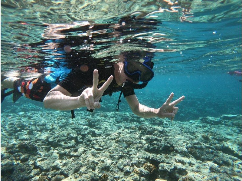 【沖縄・石垣島】冬限定！送迎無料、海亀シュノーケルツアー☆(一便４名限定！)の紹介画像