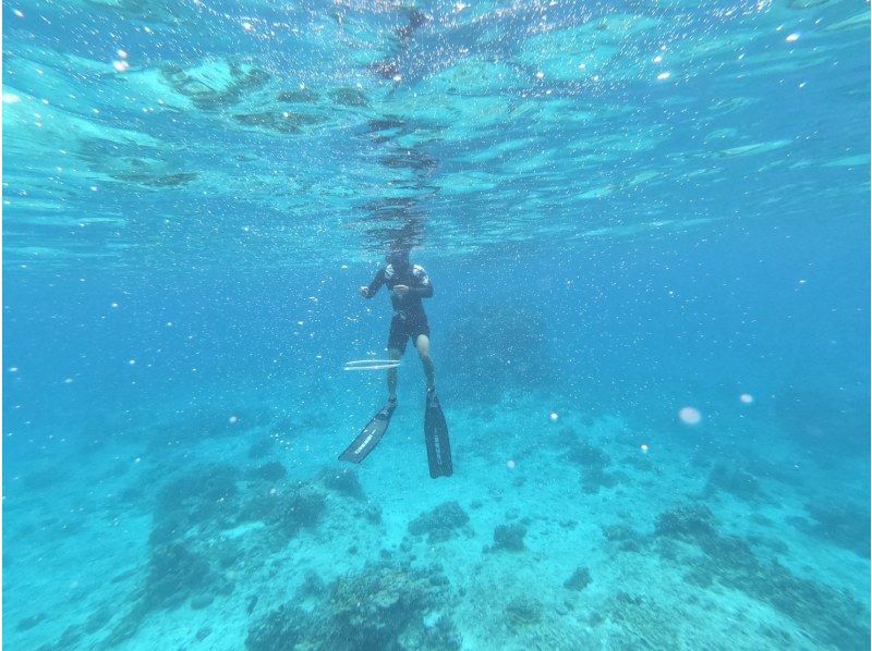 【沖縄・石垣島】冬限定！送迎無料、海亀シュノーケルツアー☆(一便４名限定！)の紹介画像