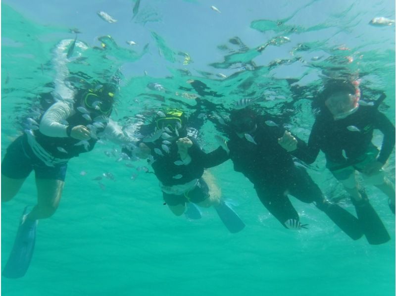 【沖縄・石垣島】冬限定！送迎無料、海亀シュノーケルツアー☆(一便４名限定！)の紹介画像