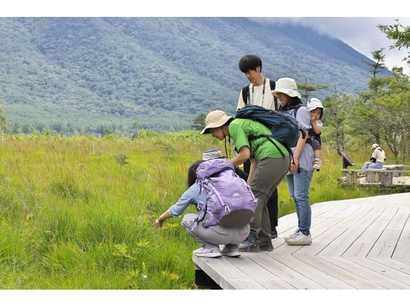 戦場ヶ原ガイドウォーク〈夏編〉【栃木県・奥日光】【どなたでもご参加歓迎！】の紹介画像