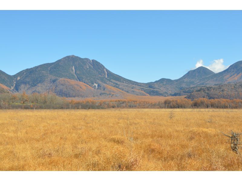 [Tochigi Prefecture, Oku-Nikko] Cool and comfortable! Summer Guide Walk in Senjogahara!の紹介画像