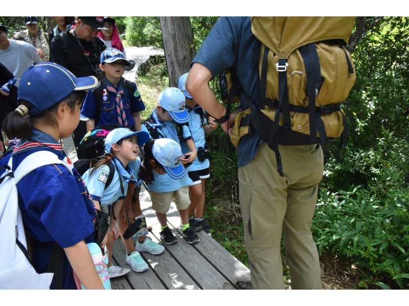 戦場ヶ原ガイドウォーク〈夏編〉【栃木県・奥日光】【どなたでもご参加歓迎！】の紹介画像