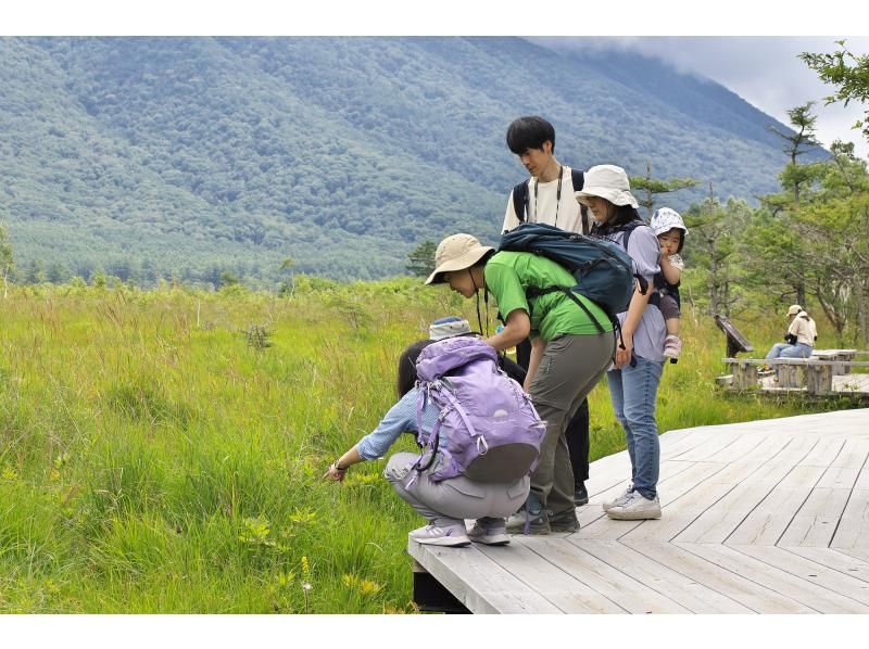 [Tochigi Prefecture, Oku-Nikko] Cool and comfortable! Summer Guide Walk in Senjogahara!の紹介画像