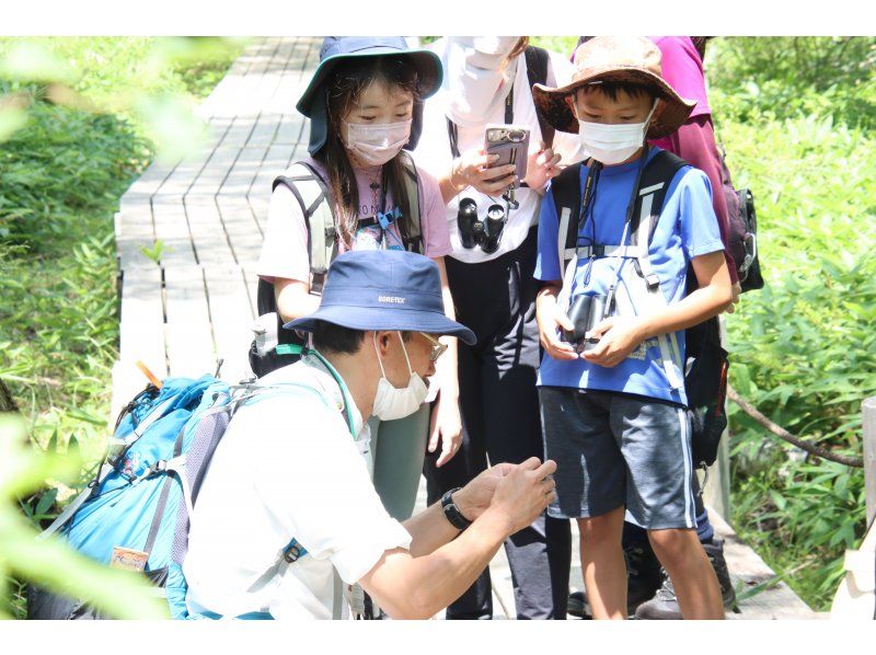 [Tochigi Prefecture, Oku-Nikko] Cool and comfortable! Summer Guide Walk in Senjogahara!の紹介画像