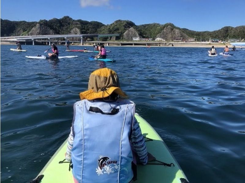 【千葉・勝浦】関東のモルディブ勝浦湾をSUPでお散歩！SUP散歩120分！！の紹介画像