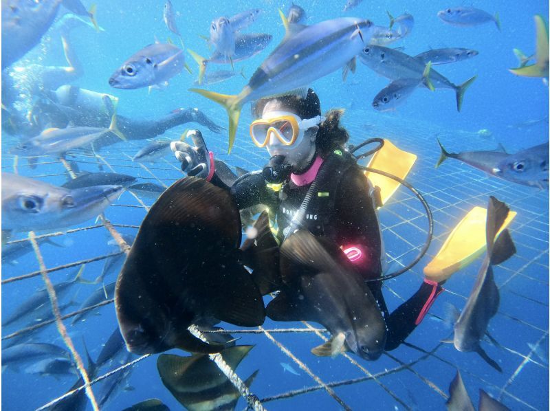 【沖縄・読谷村】《送迎 可能》ジンベイザメと会う10歳からOKの体験ダイビング！※送迎範囲ありの紹介画像