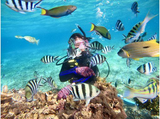 【沖縄・本部町】《送迎 可能》サンゴのお花畑に魚沢山10歳からOKのゴリラチョップビーチ体験ダイビング※送迎範囲あり 【沖縄・本部町】《送迎 可能》サンゴのお花畑に魚沢山10歳からOKのゴリラチョップビーチ体験ダイビング※送迎範囲あり