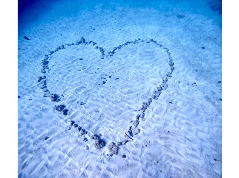 ゴリラチョップビーチ体験ダイビング【沖縄・本部町】《送迎 可能》※送迎範囲あり★GoPro撮影データ無料プレゼントの紹介画像