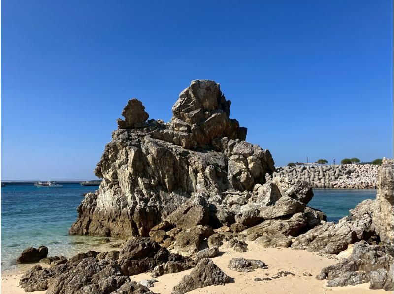 ゴリラチョップビーチ体験ダイビング【沖縄・本部町】《送迎 可能》※送迎範囲あり★GoPro撮影データ無料プレゼントの紹介画像