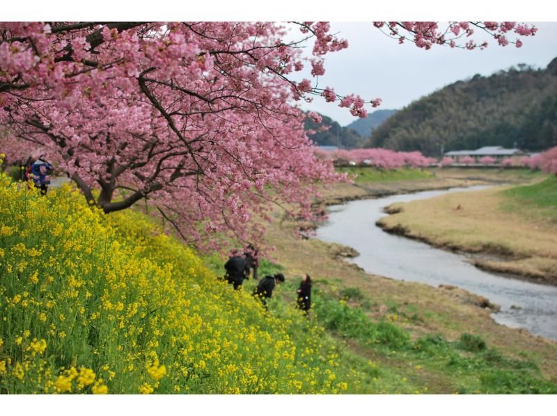 【しずおか元気旅・地域クーポン対応】伊豆の景色をお土産に！【静岡・伊豆高原】短時間&リーズナブルに【マイ茶碗】を作るの紹介画像