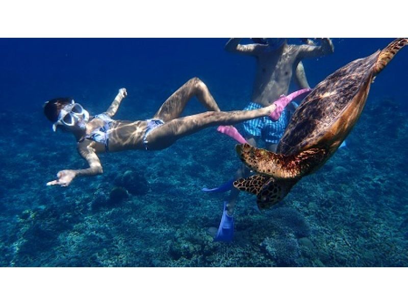 [Okinawa Zamami] 2-point boat snorkeling tour with photo service｜You might meet sea turtles!