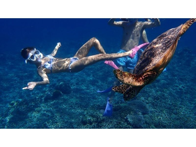 【沖縄・座間味島】電動キックボードレンタル付きプラン☆半日ボートシュノーケルツアー！ウミガメにあえる♪初心者歓迎！写真データ無料プレゼントの紹介画像