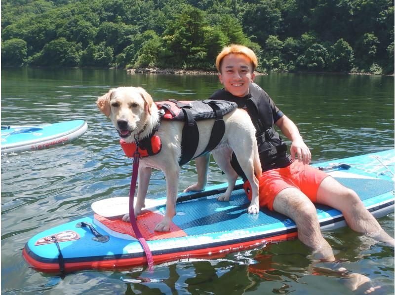 【福島・裏磐梯】絶景の秘境湖でSUP体験！初心者OK＆寒い日も安心ウェットスーツ付♪〈犬・ワンちゃんOK〉の紹介画像
