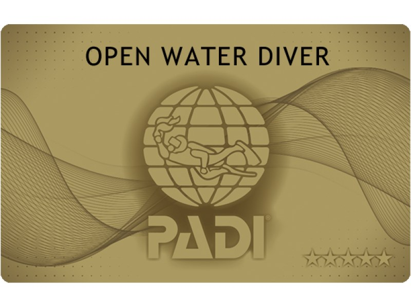 ★西伊豆・オープンウォーターコース★PADI ゴールドカード・Cカード取得！ゆったり3日間プラン♪※三島駅・沼津駅・長岡駅等送迎します☆の紹介画像