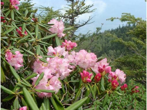 【長野県 高峰高原】 水の塔山~東篭の登山縦走トレッキング 【長野県 高峰高原】 水の塔山~東篭の登山縦走トレッキング