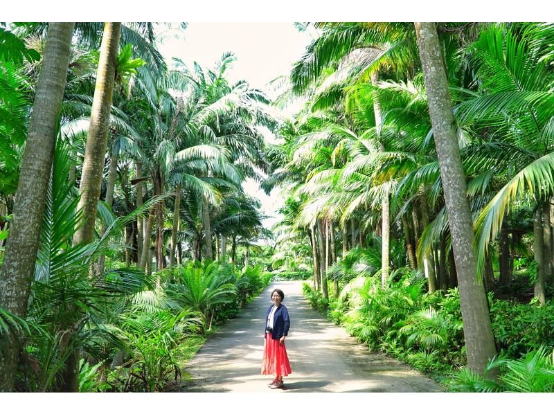 【石垣島】絶景ロケーションフォトツアー☆短時間で石垣島の贅沢なスポット巡り☆満足度120％☆【2.5時間・貸切】！Go～Goフォトツアー！の紹介画像