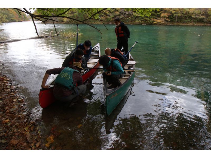 【北海道・千歳市・カヌー】ネイチャークルージングの紹介画像