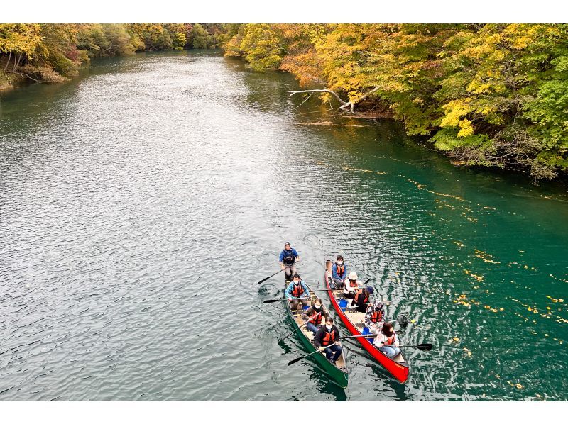 [Hokkaido / Lake Shikotsu] Lake Shikotsu Blue Cruising (90 minutes) Guided Twin Canoe Programの紹介画像