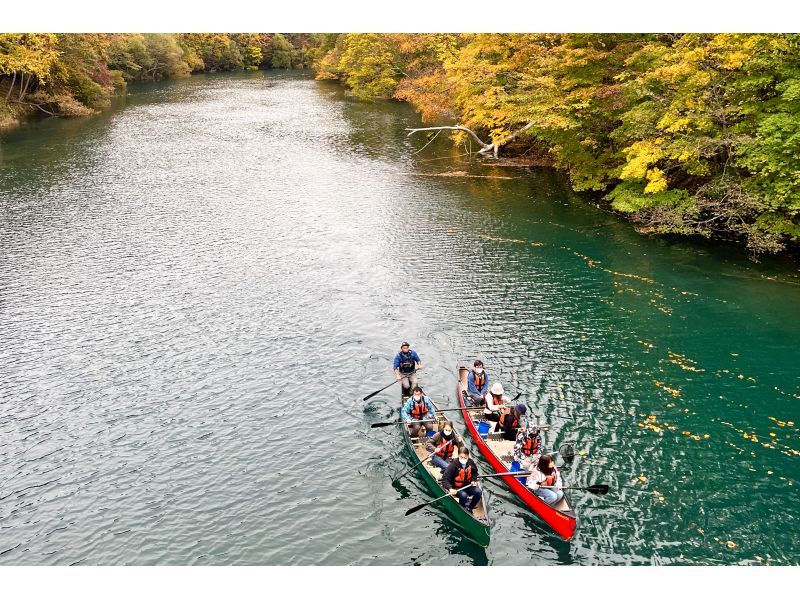【北海道・千歳市・カヌー】ネイチャークルージングの紹介画像