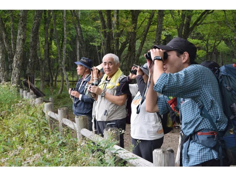 【栃木・奥日光】一足早い奥日光の秋・小田代原『草紅葉』ガイドウォーク【低公害バスで行く超お手軽ウォーキング】の紹介画像