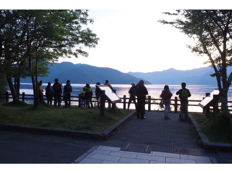 【栃木県・奥日光・夏休み】水の中からこんばんは！夕暮れの湖畔で生きもの探しの紹介画像