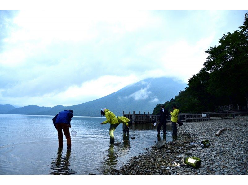 【栃木県・奥日光・夏休み】水の中からこんばんは！夕暮れの湖畔で生きもの探しの紹介画像