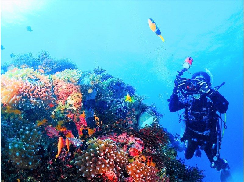 PADI ダイビング教材 ガイドトゥーティーチング mic21ダイビングショップ[ PADIジャパン ] PADI 70034J エン