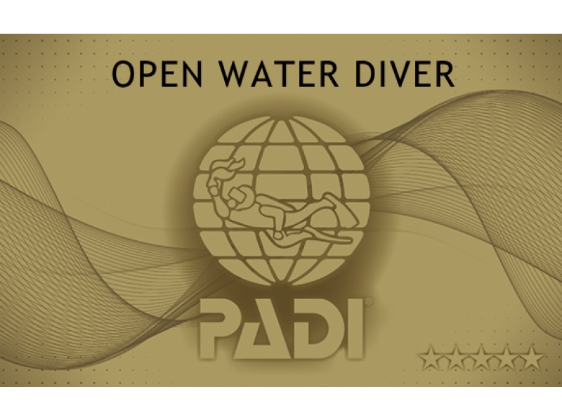 【東京・神奈川】ダイビングライセンス シェアNo1「PADI」オープンウォーター <レンタル込み3日間／Cカード／学科eラーニング＞