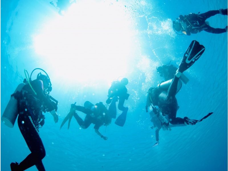 【東京・神奈川】ダイビングライセンス シェアNo1「PADI」オープンウォーター <レンタル込み3日間／Cカード／学科eラーニング＞