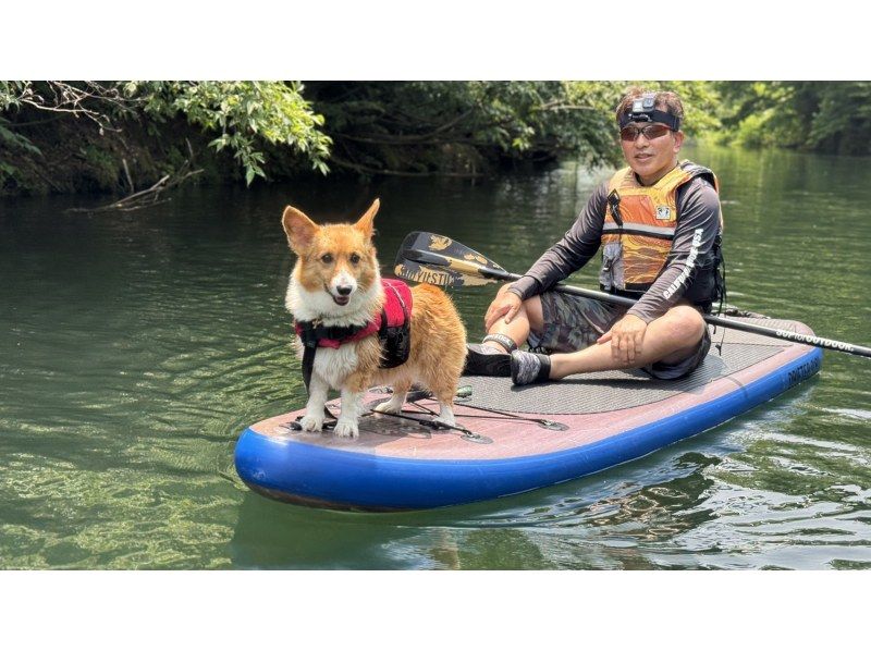 [Fukushima, Urabandai, Lake Hibara] The only guided 2-hour SUP cruising tour on Lake Hibara ☆彡 Autumn leaves SUP is recommended! You will receive a free potato stew after the experience ♪の紹介画像