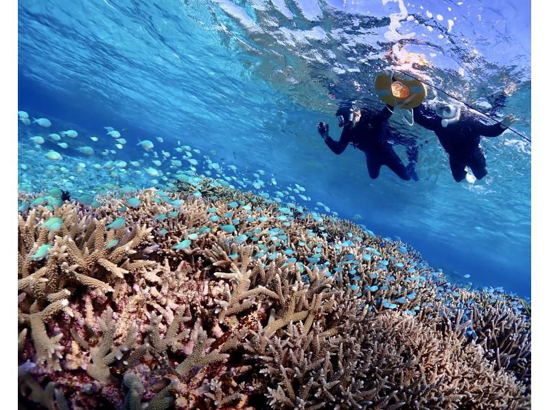 【宮古島・ヤビジ】☆ドローン撮影&高画質水中カメラレンタル無料☆八重干瀬スキンダイビングツアー！の紹介画像