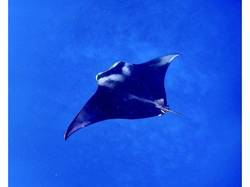 【宮古島・ヤビジ】☆ドローン撮影&高画質水中カメラレンタル無料☆八重干瀬スキンダイビングツアー！の紹介画像