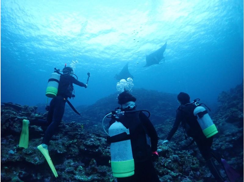 [Ishigaki Island] 1 day tour with 2 dives! Beginners, couples, and photo divers welcome! A relaxing Ishigaki Island ocean diving tour on our own boat!の紹介画像