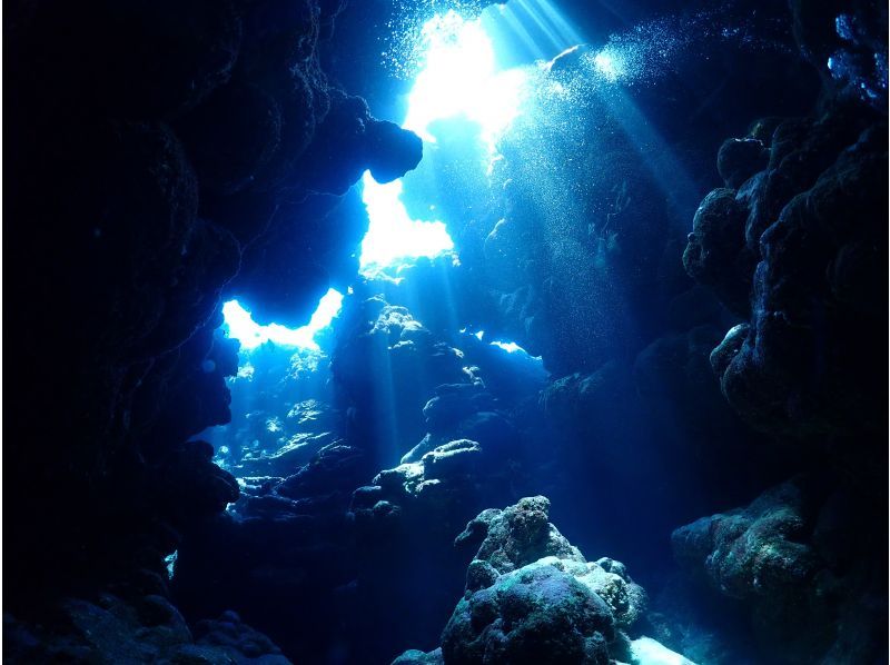 [Ishigaki Island] 1 day tour with 2 dives! Beginners, couples, and photo divers welcome! A relaxing Ishigaki Island ocean diving tour on our own boat!の紹介画像