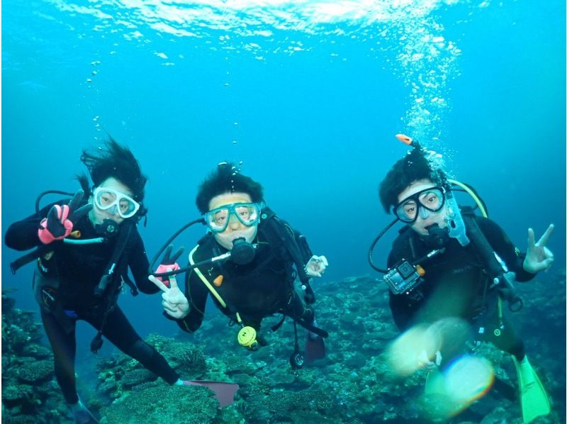 [Ishigaki Island] 1 day tour with 2 dives! Beginners, couples, and photo divers welcome! A relaxing Ishigaki Island ocean diving tour on our own boat!の紹介画像