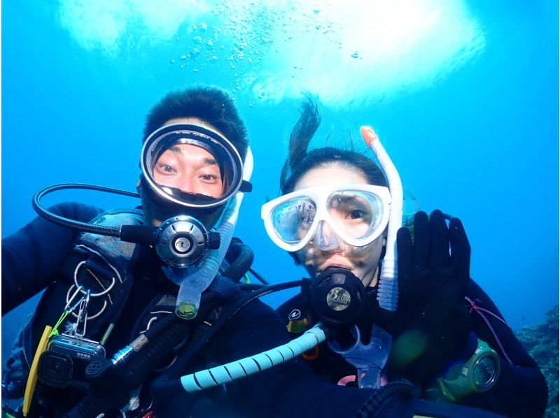 【石垣島】到着ダイビングOK!! 選べる午前、午後、半日体験ダイビング!! ツアー中の写真、動画プレゼント！初心者・カップル大歓迎!!の紹介画像