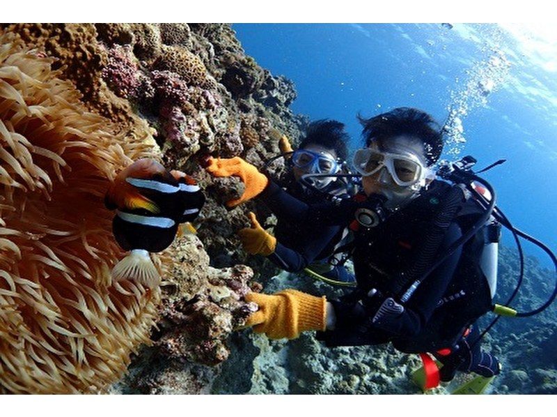 《National Travel Support Coupon Eligible》Departing from Naha, Kerama Uninhabited Island Area, Half Day / Experience Diving & Snorkeling ★No.の紹介画像