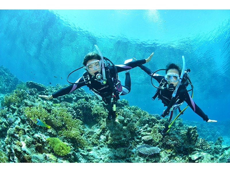 《National Travel Support Coupon Eligible》Departing from Naha, Kerama Uninhabited Island Area, Half Day / Experience Diving & Snorkeling ★No.の紹介画像