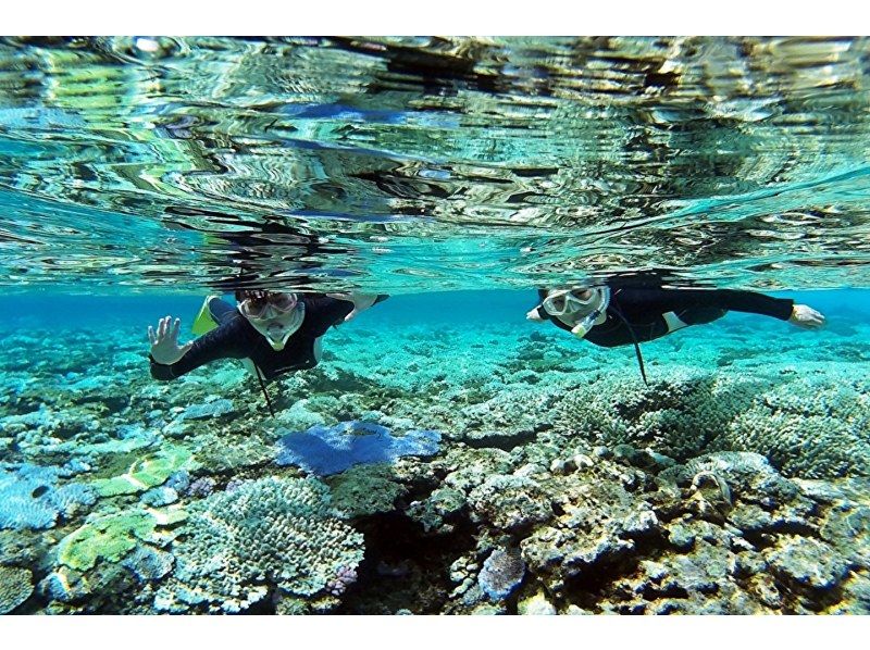 《National Travel Support Coupon Eligible》Departing from Naha, Kerama Uninhabited Island Area, Half Day / Experience Diving & Snorkeling ★No.の紹介画像