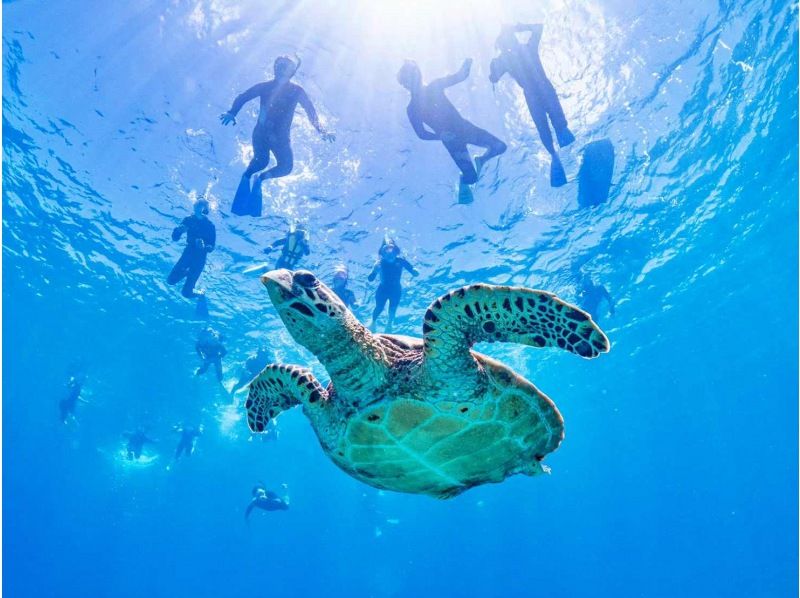 Departing from Naha, Kerama uninhabited island area, half-day/snorkeling & parasailing★2024 AJ Naha area review No.1★Unlimited play on the ocean slide★Completely non-smoking boat★の紹介画像