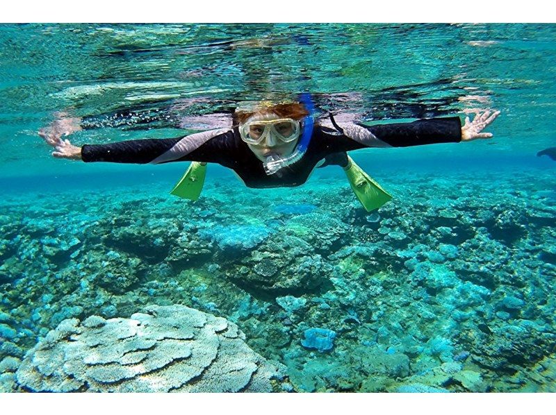 《National Travel Support Coupon Eligible》Departure from Naha, Kerama Uninhabited Island Area, Half Day / Snorkeling & Parasailing ★No.の紹介画像