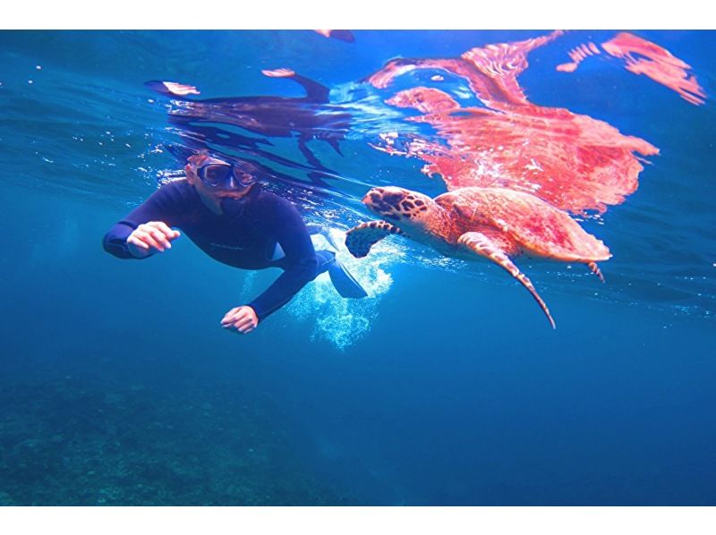 Departing from Naha, Kerama uninhabited island area, half-day/snorkeling & parasailing★2024 AJ Naha area review No.1★Unlimited play on the ocean slide★Completely non-smoking boat★の紹介画像