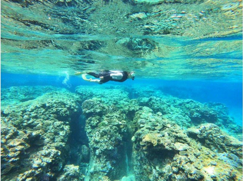 Departing from Naha, Kerama uninhabited island area, half-day/snorkeling & parasailing★2024 AJ Naha area review No.1★Unlimited play on the ocean slide★Completely non-smoking boat★の紹介画像