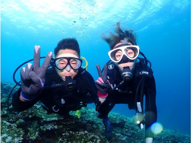 【沖縄・石垣島】体験ダイビング＆シュノーケル☆少人数で2〜3箇所巡る安心の海遊びツアー！の紹介画像